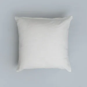 Cushion With Cover